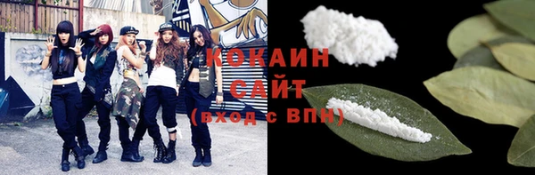 гидра Верея