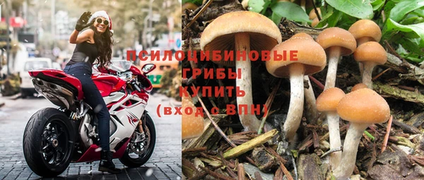 кокс Бородино