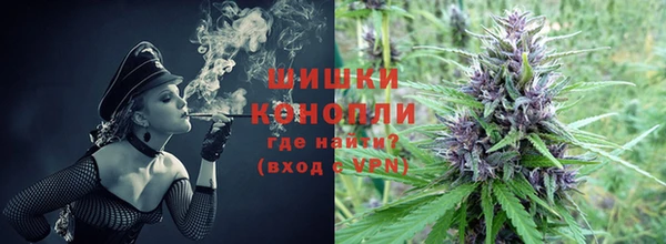 гидра Верея