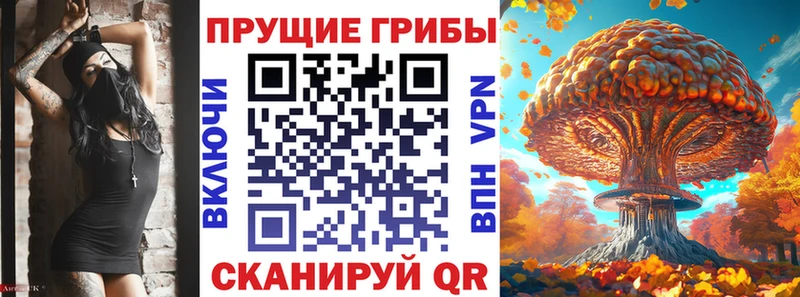 Галлюциногенные грибы Psilocybe  Вятские Поляны 
